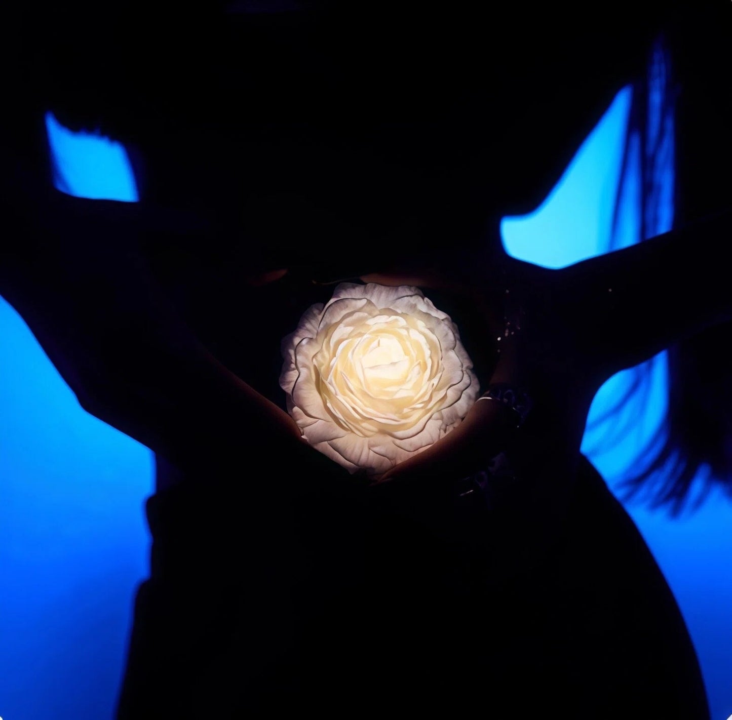 Wildry Luminous Peony | 42°C Low-Temperature Sensory Massage Candle & Decor