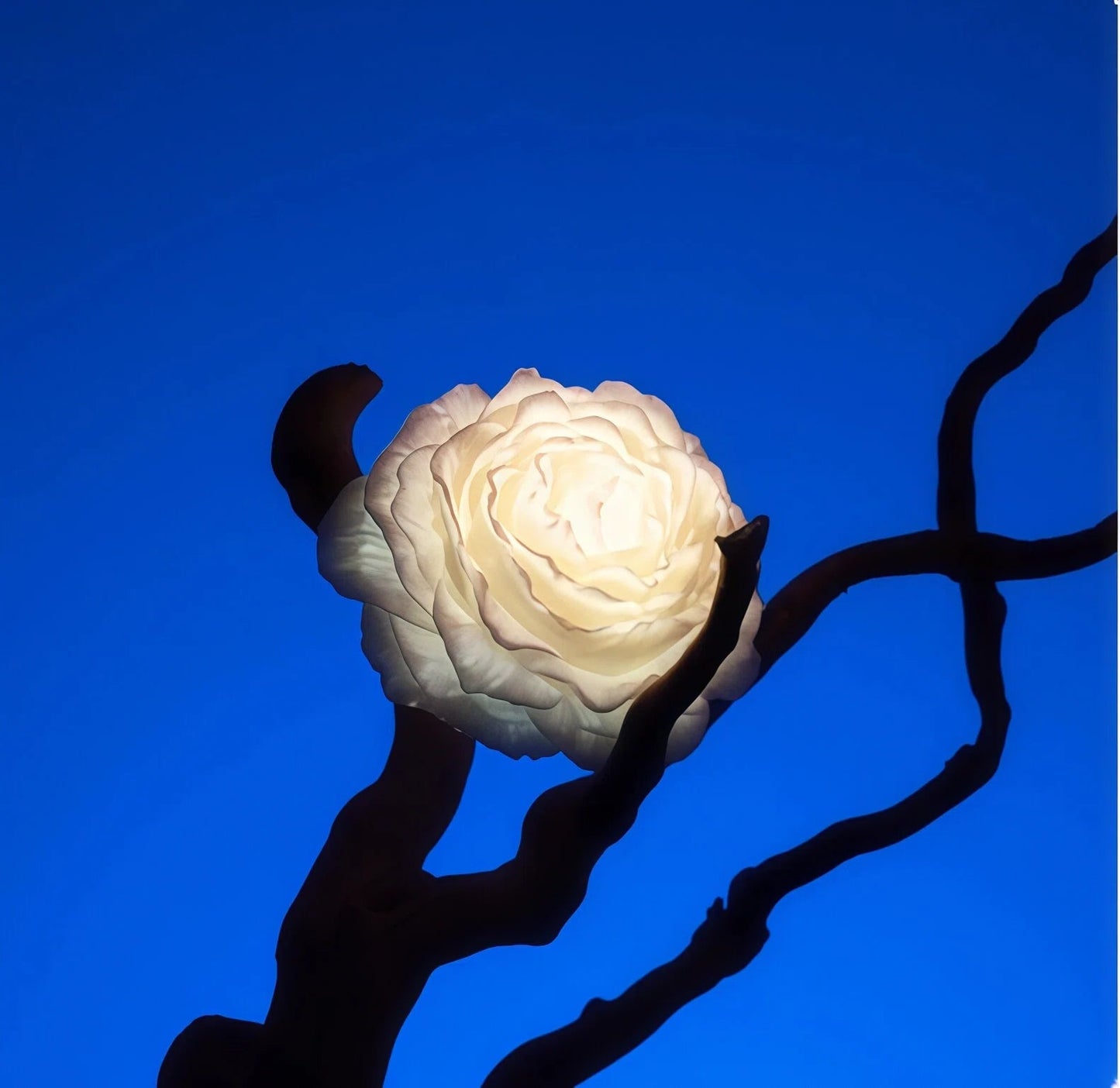 Wildry Luminous Peony | 42°C Low-Temperature Sensory Massage Candle & Decor