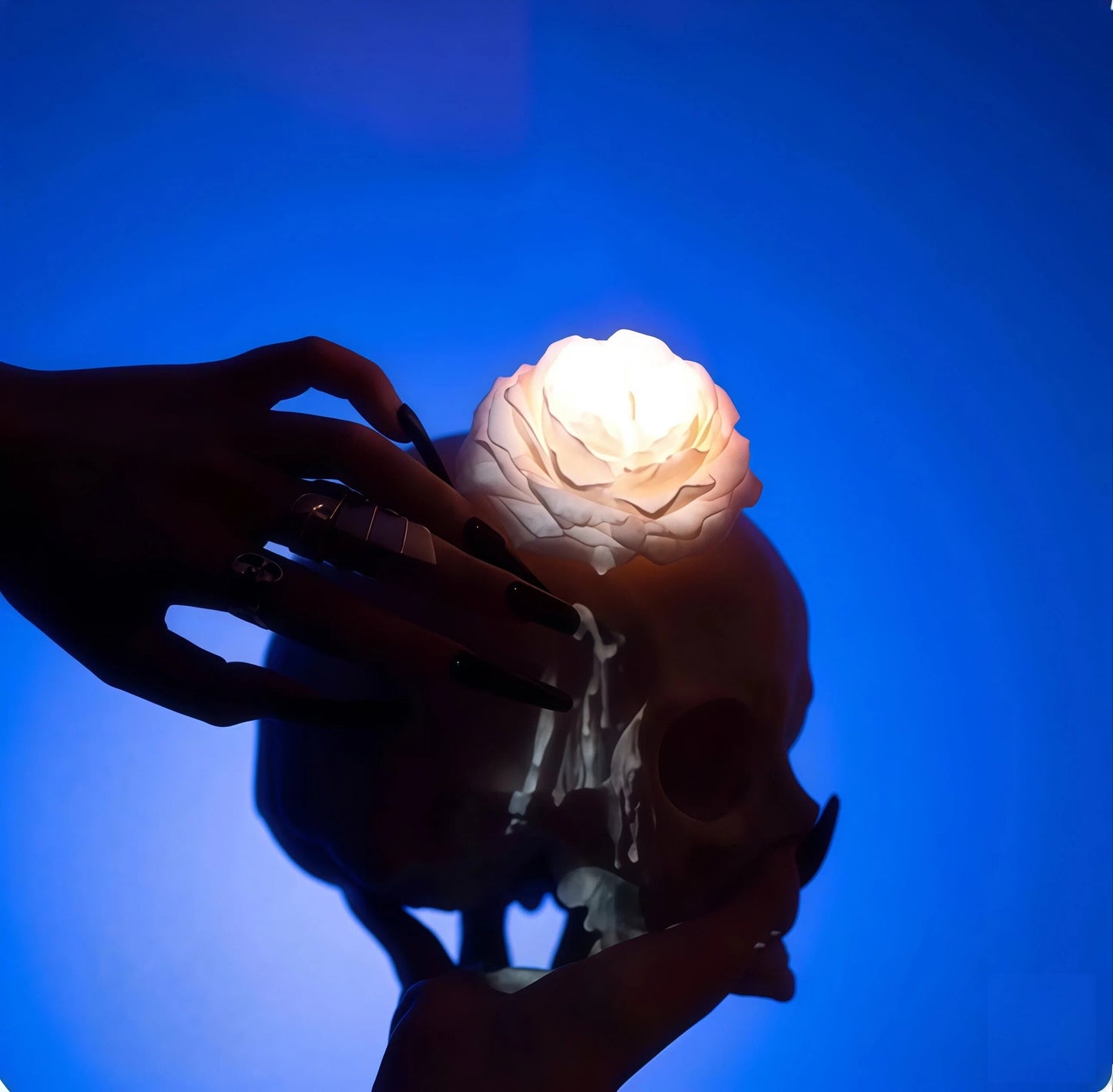 Wildry Luminous Peony | 42°C Low-Temperature Sensory Massage Candle & Decor